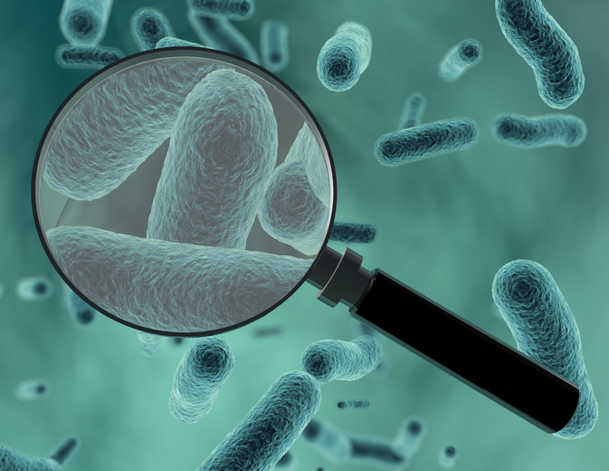 Magnified image of bacteria
