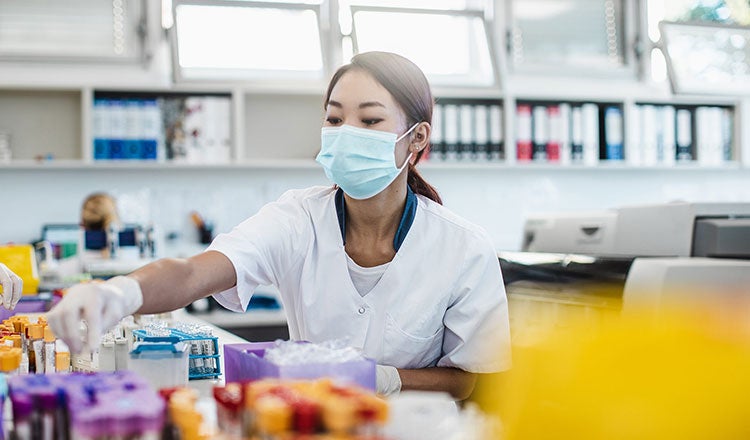 Scientist working in the laboratory